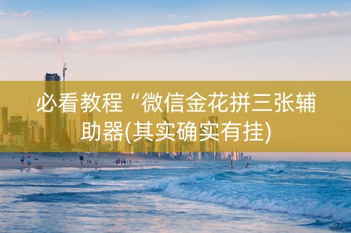 必看教程“微信金花拼三张辅助器(其实确实有挂)