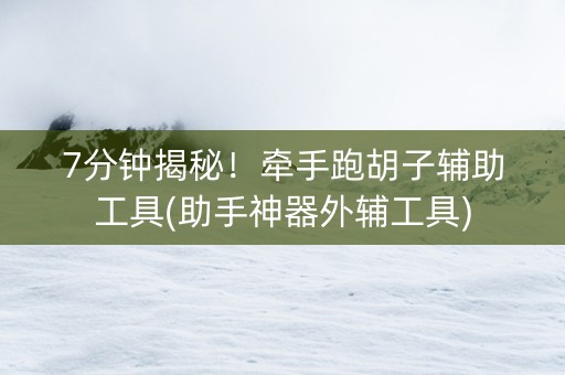 7分钟揭秘！牵手跑胡子辅助工具(助手神器外辅工具)
