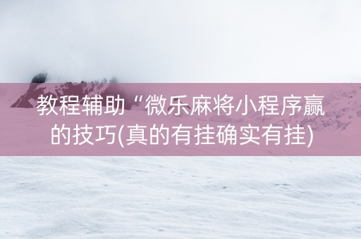 教程辅助“微乐麻将小程序赢的技巧(真的有挂确实有挂)