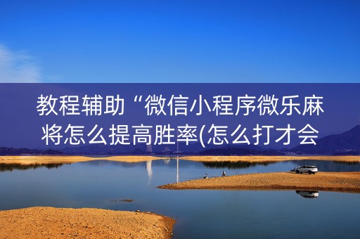 教程辅助“微信小程序微乐麻将怎么提高胜率(怎么打才会赢)