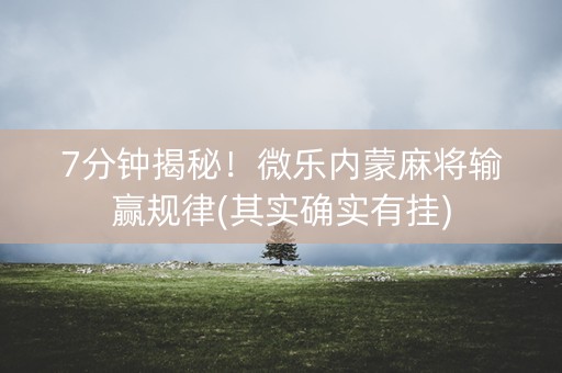 7分钟揭秘！微乐内蒙麻将输赢规律(其实确实有挂)