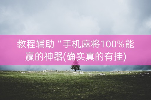 教程辅助“手机麻将100%能赢的神器(确实真的有挂)