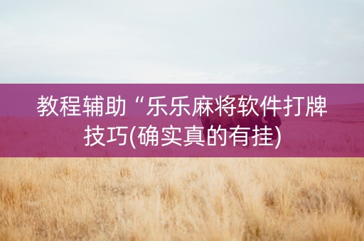 教程辅助“乐乐麻将软件打牌技巧(确实真的有挂)