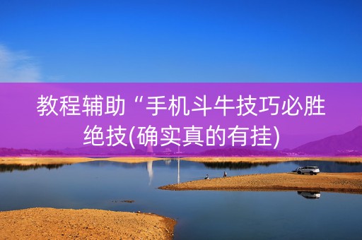 教程辅助“手机斗牛技巧必胜绝技(确实真的有挂)