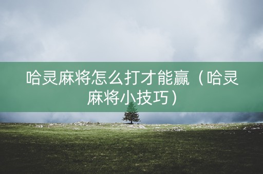 哈灵麻将怎么打才能赢（哈灵麻将小技巧）