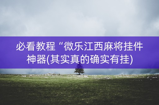 必看教程“微乐江西麻将挂件神器(其实真的确实有挂)