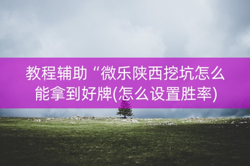 教程辅助“微乐陕西挖坑怎么能拿到好牌(怎么设置胜率)