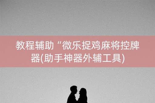 教程辅助“微乐捉鸡麻将控牌器(助手神器外辅工具)