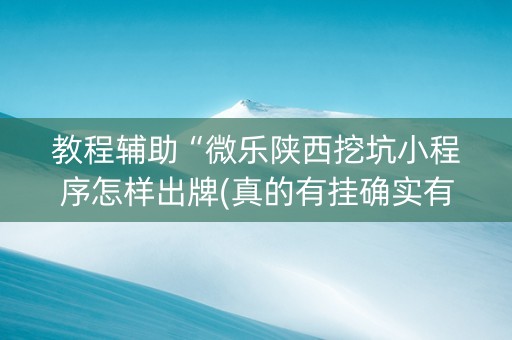 教程辅助“微乐陕西挖坑小程序怎样出牌(真的有挂确实有挂)