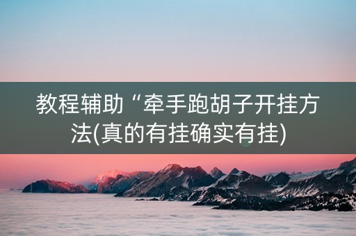 教程辅助“牵手跑胡子开挂方法(真的有挂确实有挂)