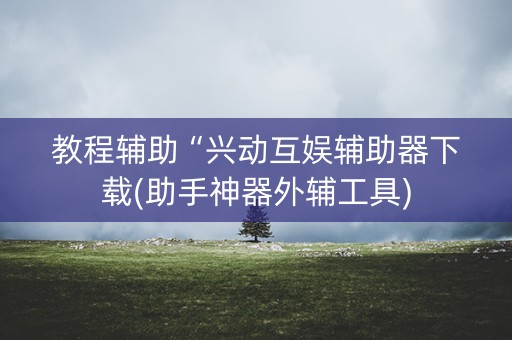 教程辅助“兴动互娱辅助器下载(助手神器外辅工具)