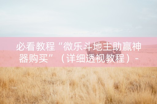 必看教程“微乐斗地主助赢神器购买”（详细透视教程）-哔哩哔哩
