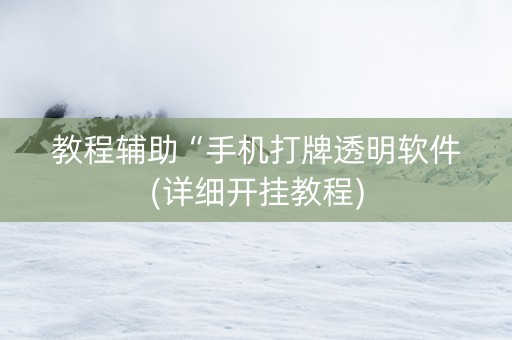 教程辅助“手机打牌透明软件(详细开挂教程)