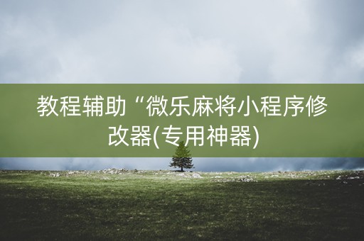 教程辅助“微乐麻将小程序修改器(专用神器)