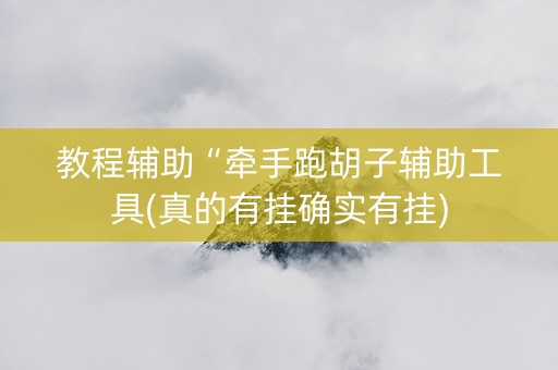 教程辅助“牵手跑胡子辅助工具(真的有挂确实有挂)