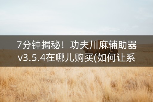 7分钟揭秘！功夫川麻辅助器v3.5.4在哪儿购买(如何让系统发好牌)