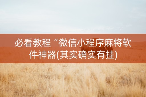 必看教程“微信小程序麻将软件神器(其实确实有挂)