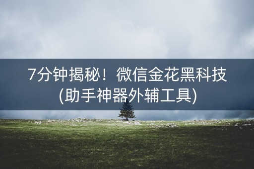 7分钟揭秘！微信金花黑科技(助手神器外辅工具)