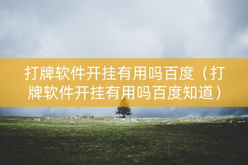 打牌软件开挂有用吗百度（打牌软件开挂有用吗百度知道）