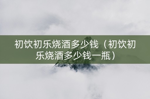 初饮初乐烧酒多少钱（初饮初乐烧酒多少钱一瓶）