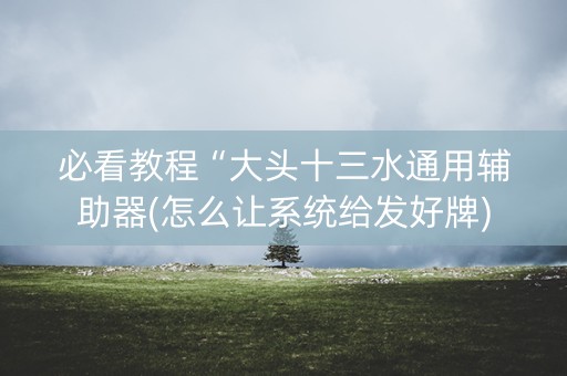 必看教程“大头十三水通用辅助器(怎么让系统给发好牌)
