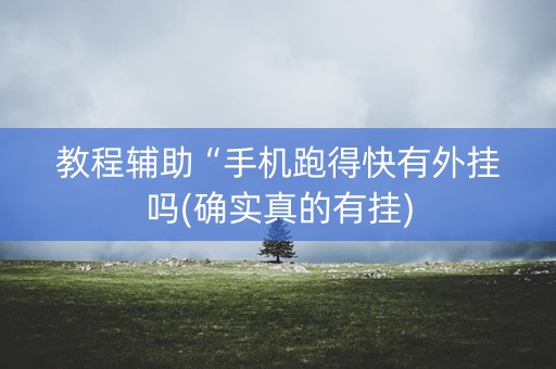 教程辅助“手机跑得快有外挂吗(确实真的有挂)