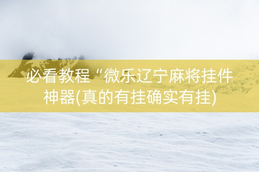 必看教程“微乐辽宁麻将挂件神器(真的有挂确实有挂)