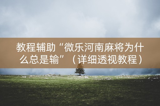 教程辅助“微乐河南麻将为什么总是输”（详细透视教程）-哔哩哔哩