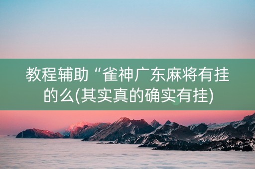 教程辅助“雀神广东麻将有挂的么(其实真的确实有挂)