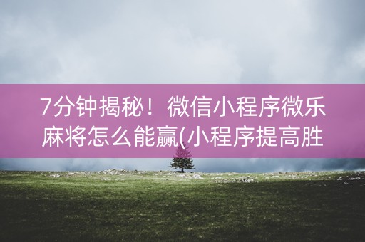 7分钟揭秘！微信小程序微乐麻将怎么能赢(小程序提高胜率)