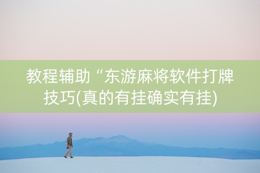 教程辅助“东游麻将软件打牌技巧(真的有挂确实有挂)