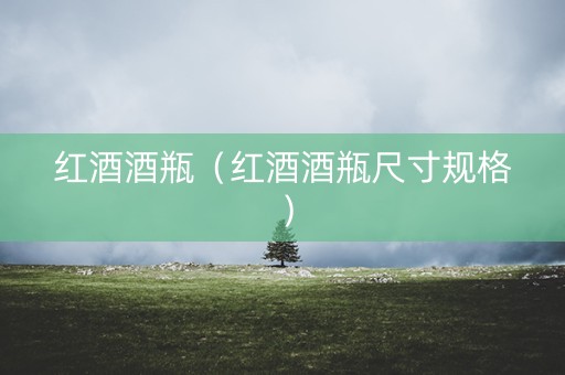 红酒酒瓶（红酒酒瓶尺寸规格）