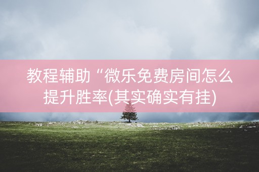 教程辅助“微乐免费房间怎么提升胜率(其实确实有挂)