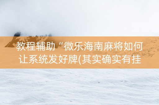 教程辅助“微乐海南麻将如何让系统发好牌(其实确实有挂)