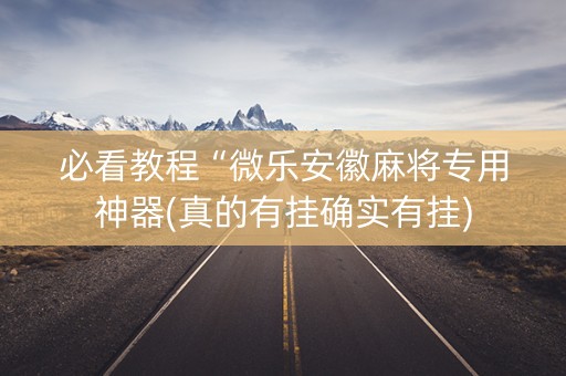必看教程“微乐安徽麻将专用神器(真的有挂确实有挂)