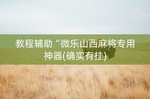 教程辅助“微乐山西麻将专用神器(确实有挂)