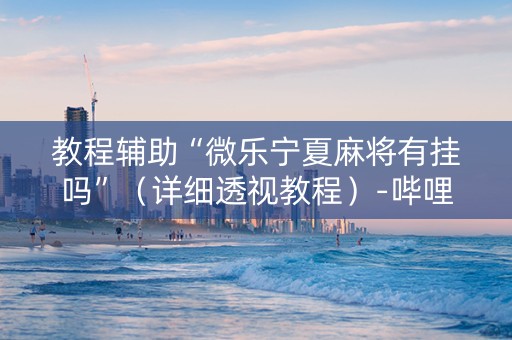 教程辅助“微乐宁夏麻将有挂吗”（详细透视教程）-哔哩哔哩