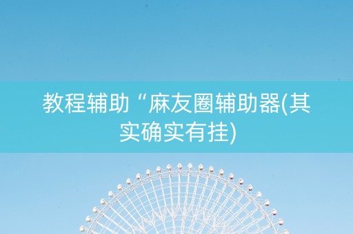 教程辅助“麻友圈辅助器(其实确实有挂)