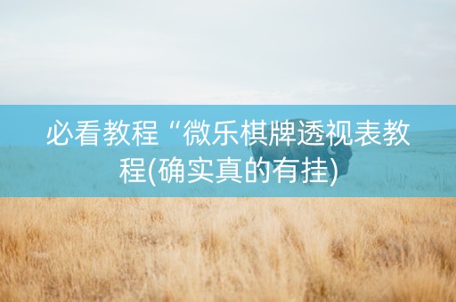 必看教程“微乐棋牌透视表教程(确实真的有挂)