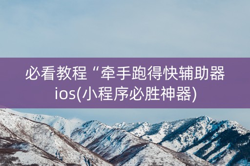 必看教程“牵手跑得快辅助器ios(小程序必胜神器)