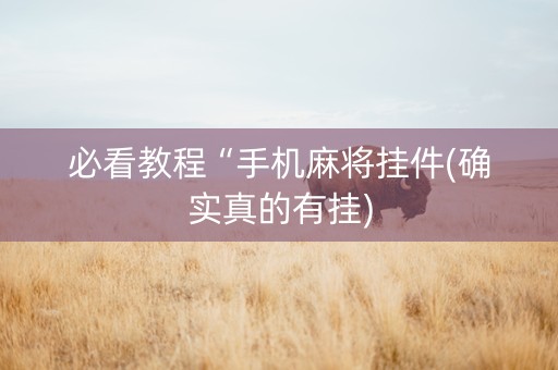 必看教程“手机麻将挂件(确实真的有挂)