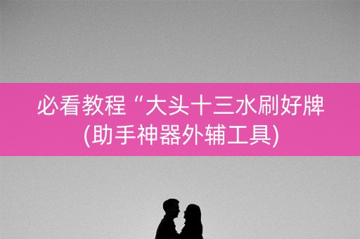 必看教程“大头十三水刷好牌(助手神器外辅工具)