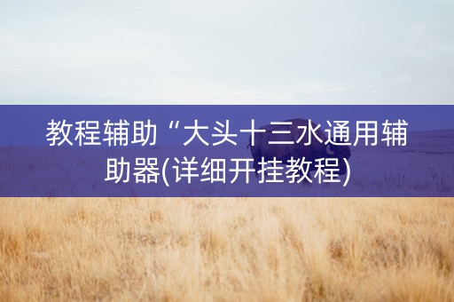 教程辅助“大头十三水通用辅助器(详细开挂教程)