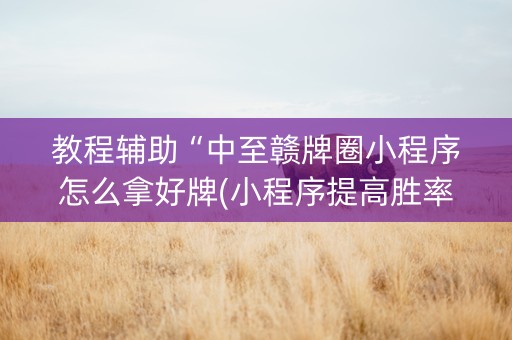教程辅助“中至赣牌圈小程序怎么拿好牌(小程序提高胜率)