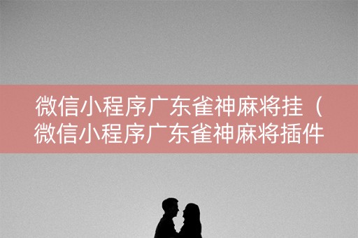 微信小程序广东雀神麻将挂（微信小程序广东雀神麻将插件）