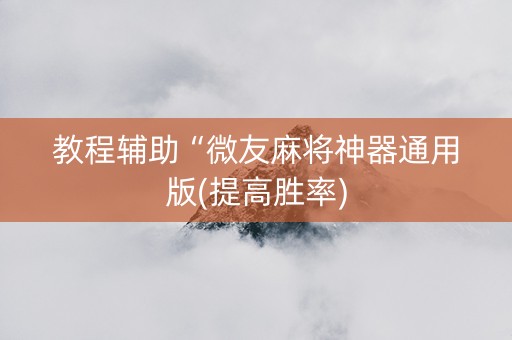 教程辅助“微友麻将神器通用版(提高胜率)