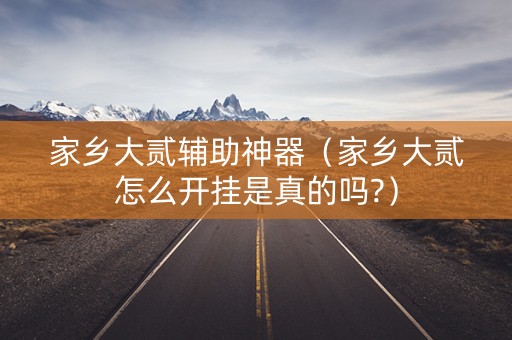 家乡大贰辅助神器（家乡大贰怎么开挂是真的吗?）