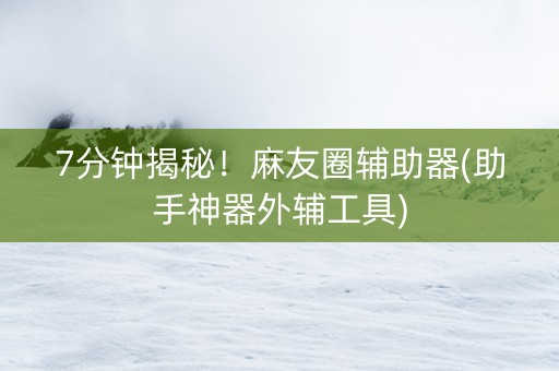7分钟揭秘！麻友圈辅助器(助手神器外辅工具)