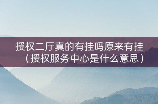 授权二厅真的有挂吗原来有挂（授权服务中心是什么意思）