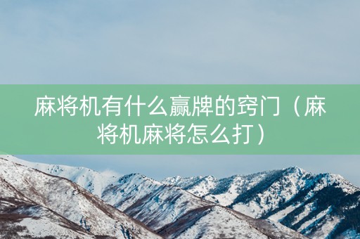 麻将机有什么赢牌的窍门（麻将机麻将怎么打）